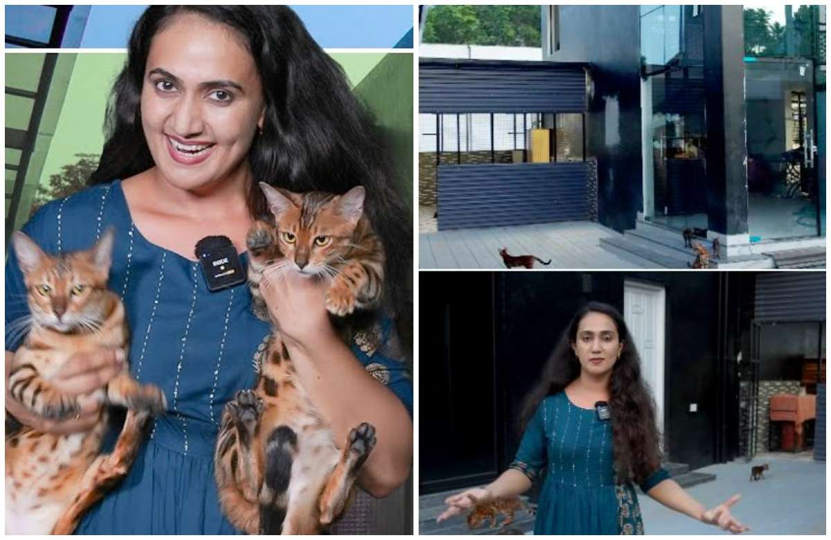 anu joseph 1 crore cat home goes viral